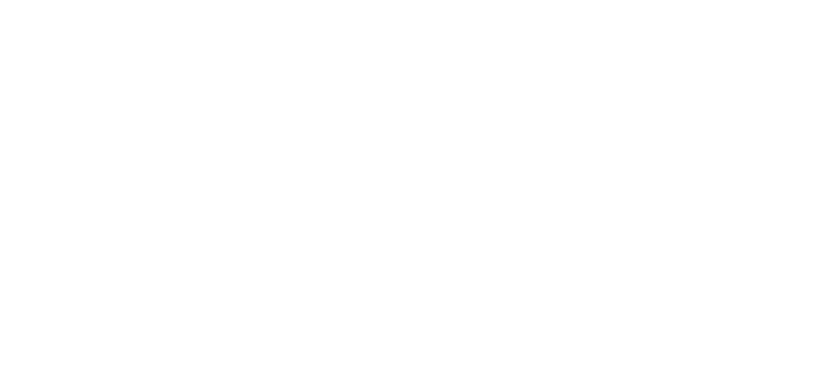 The Other Horizon